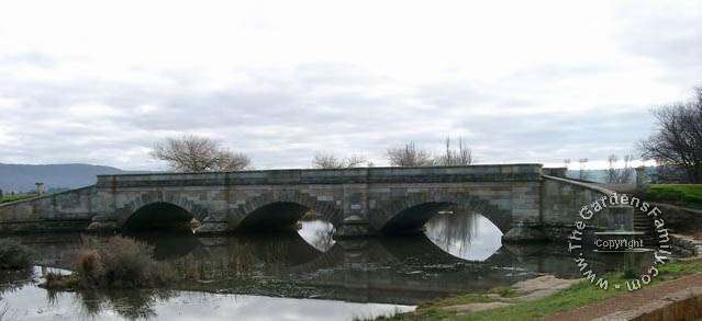 Bridge