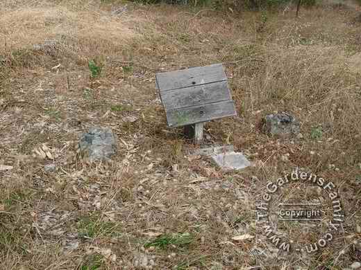 Unknown Grave